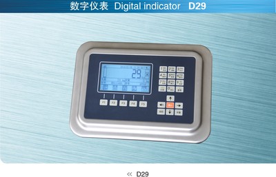 D29