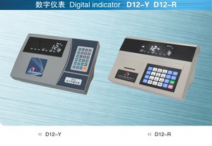 D12-Y和D12-R